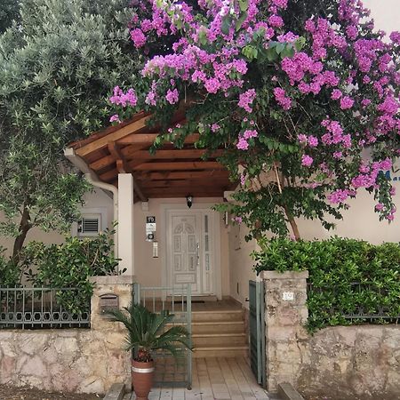 Apartments Maris Petrovac ภายนอก รูปภาพ