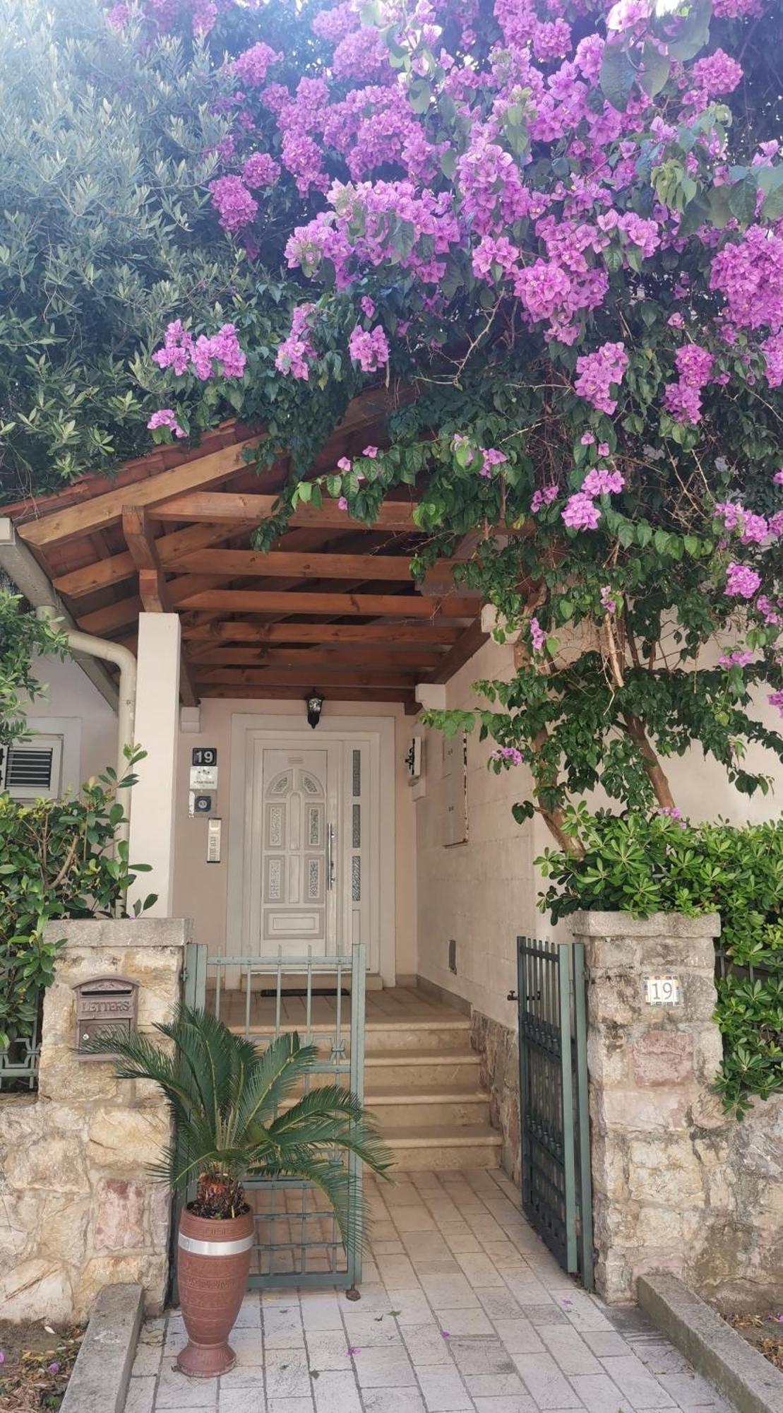 Apartments Maris Petrovac ภายนอก รูปภาพ