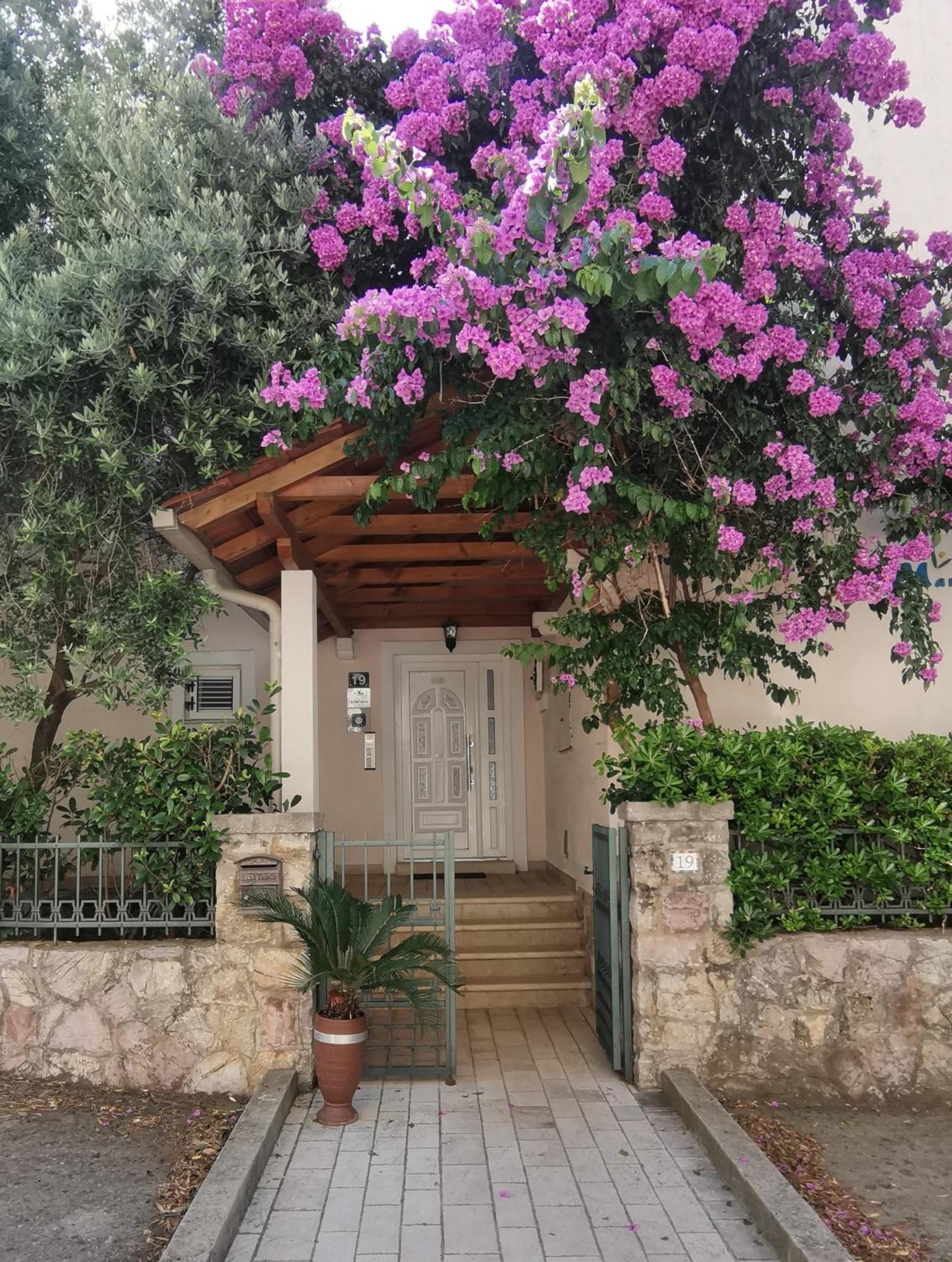 Apartments Maris Petrovac ภายนอก รูปภาพ