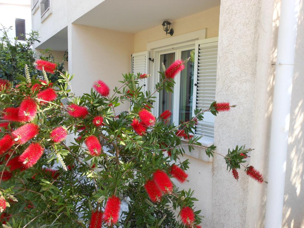 Apartments Maris Petrovac ห้อง รูปภาพ